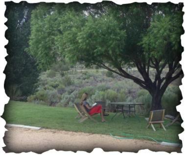 Bullberry Inn Bed & Breakfast Tropic Esterno foto